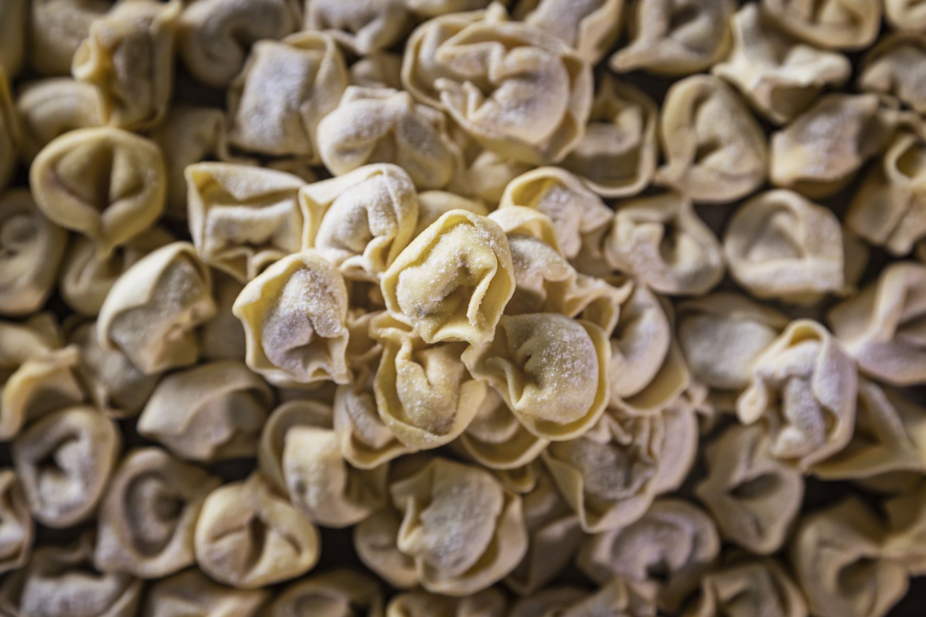gruppo tortellini pastificio la ginestra